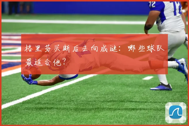 格里芬买断后去向成谜：哪些球队最适合他？