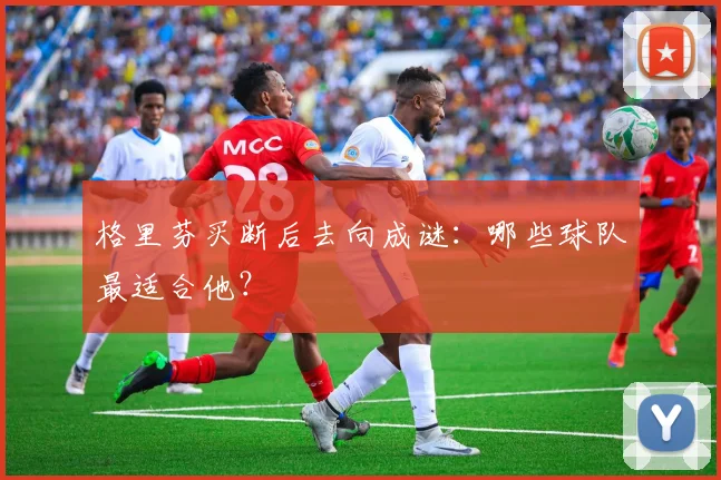 格里芬买断后去向成谜：哪些球队最适合他？