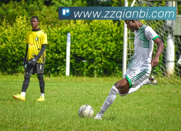 App Interface Preview